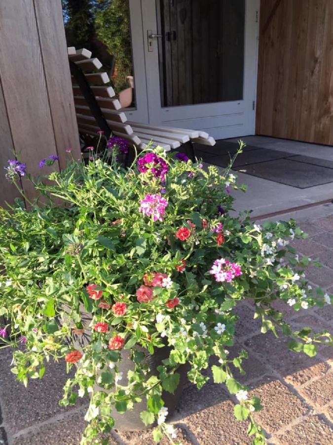 Erve Toon'Boer Bed & Breakfast Mander ภายนอก รูปภาพ